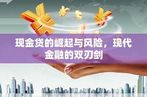 大武现金贷的崛起与风险，现代金融的双刃剑