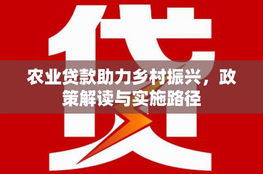 大武农业贷款助力乡村振兴，政策解读与实施路径