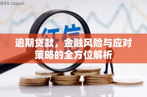 大武逾期贷款，金融风险与应对策略的全方位解析