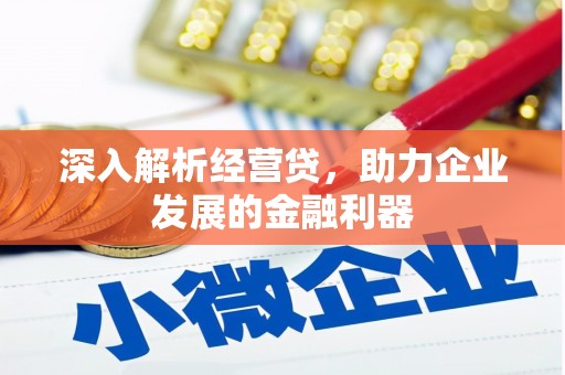 大武深入解析经营贷，助力企业发展的金融利器