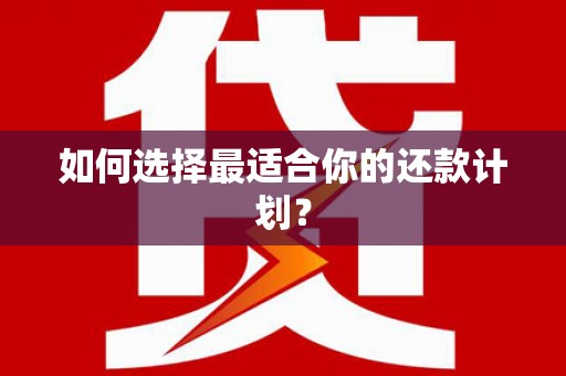 大武如何选择最适合你的还款计划？