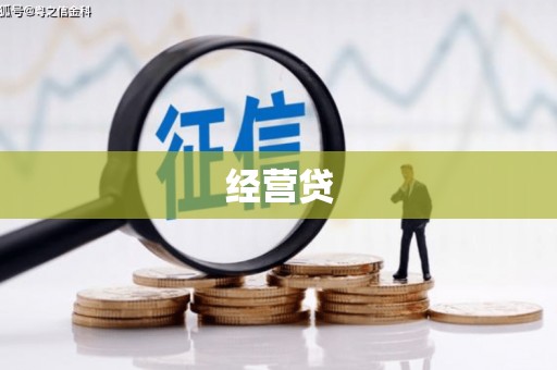 大武经营贷
