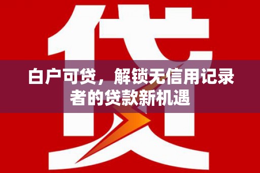 大武白户可贷，解锁无信用记录者的贷款新机遇