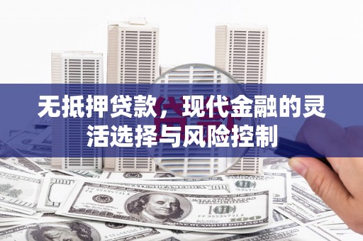 大武无抵押贷款，现代金融的灵活选择与风险控制