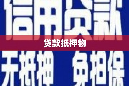 大武贷款抵押物