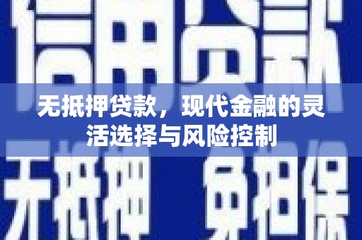 大武无抵押贷款，现代金融的灵活选择与风险控制