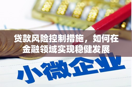 大武贷款风险控制措施，如何在金融领域实现稳健发展