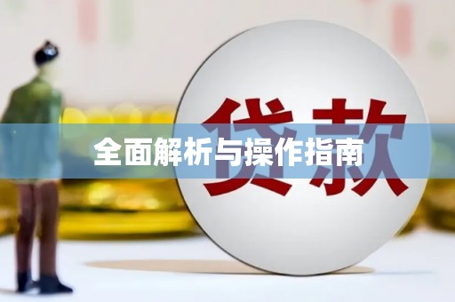 大武全面解析与操作指南