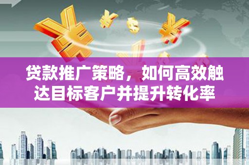 大武贷款推广策略，如何高效触达目标客户并提升转化率