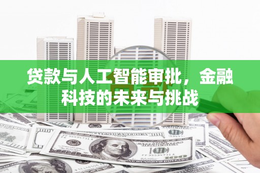 大武贷款与人工智能审批，金融科技的未来与挑战