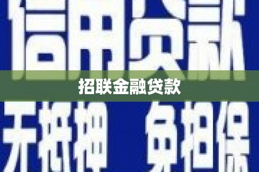 大武招联金融贷款