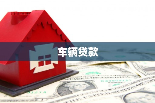 大武车辆贷款