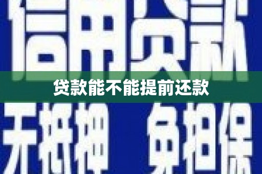 大武贷款能不能提前还款