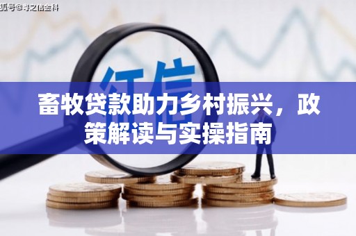大武畜牧贷款助力乡村振兴，政策解读与实操指南