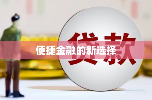 大武便捷金融的新选择