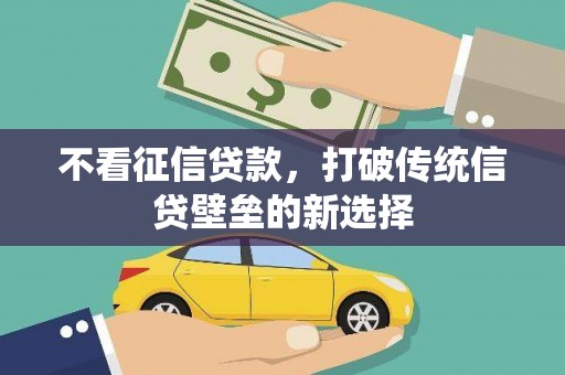 大武不看征信贷款，打破传统信贷壁垒的新选择