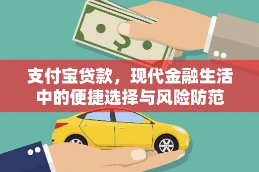 大武支付宝贷款，现代金融生活中的便捷选择与风险防范