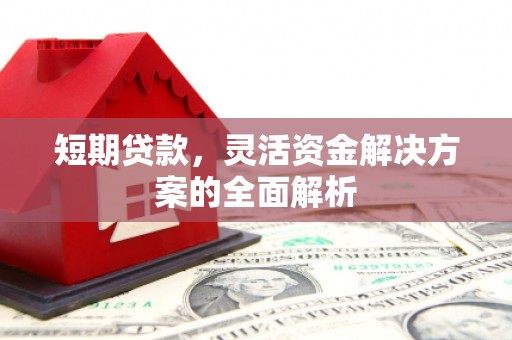 大武短期贷款，灵活资金解决方案的全面解析