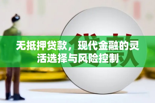 大武无抵押贷款，现代金融的灵活选择与风险控制