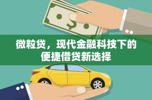 大武微粒贷，现代金融科技下的便捷借贷新选择