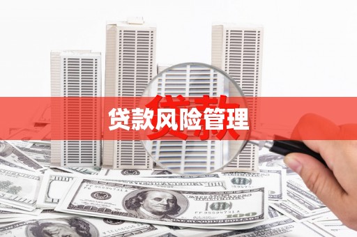 大武贷款风险管理