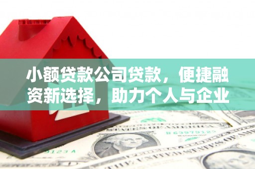 大武小额贷款公司贷款，便捷融资新选择，助力个人与企业成长