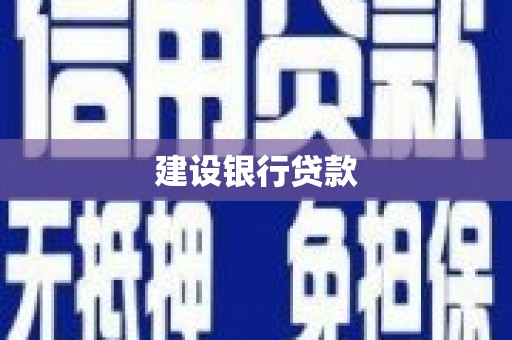 大武建设银行贷款