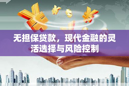 大武无担保贷款，现代金融的灵活选择与风险控制