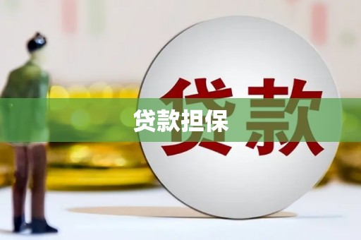 大武贷款担保