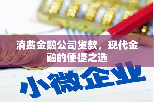 大武消费金融公司贷款，现代金融的便捷之选