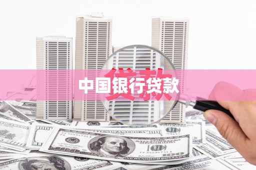 大武中国银行贷款
