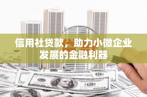 大武信用社贷款，助力小微企业发展的金融利器