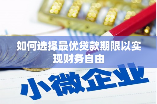 大武如何选择最优贷款期限以实现财务自由
