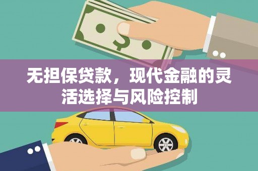 大武无担保贷款，现代金融的灵活选择与风险控制