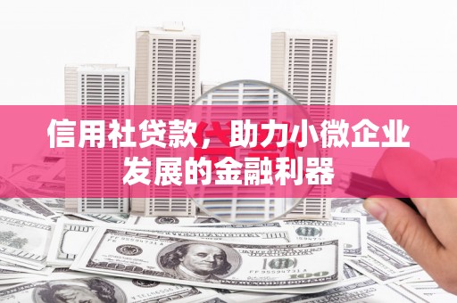 大武信用社贷款，助力小微企业发展的金融利器