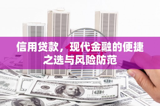 大武信用贷款，现代金融的便捷之选与风险防范