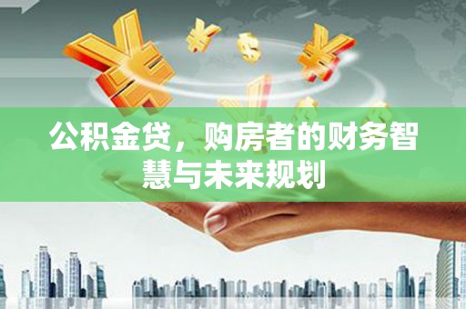 大武公积金贷，购房者的财务智慧与未来规划