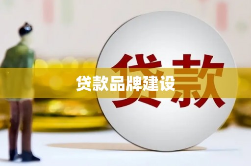 大武贷款品牌建设