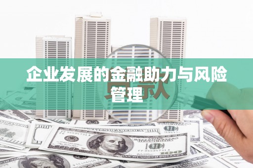 大武企业发展的金融助力与风险管理