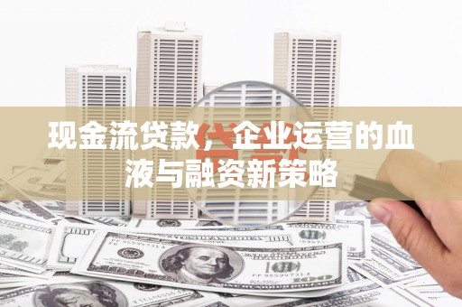大武现金流贷款，企业运营的血液与融资新策略