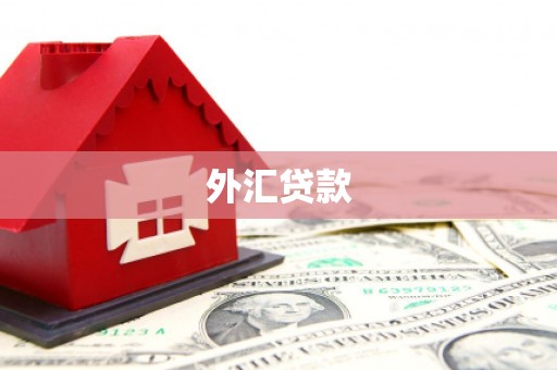 大武外汇贷款