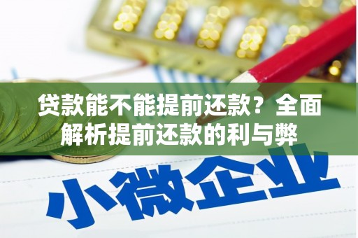 大武贷款能不能提前还款？全面解析提前还款的利与弊