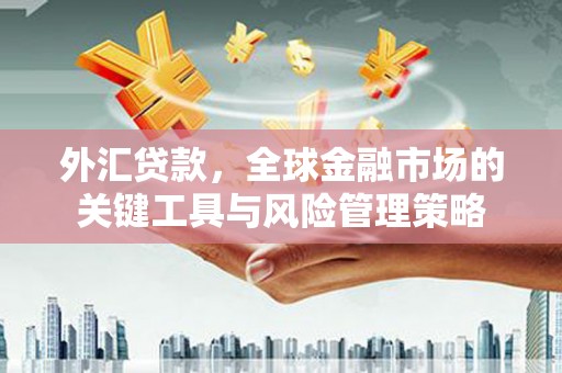 大武外汇贷款，全球金融市场的关键工具与风险管理策略