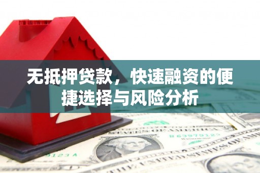 大武无抵押贷款，快速融资的便捷选择与风险分析