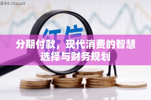 大武分期付款，现代消费的智慧选择与财务规划