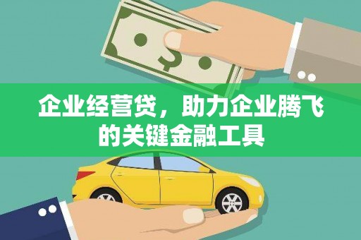 大武企业经营贷，助力企业腾飞的关键金融工具