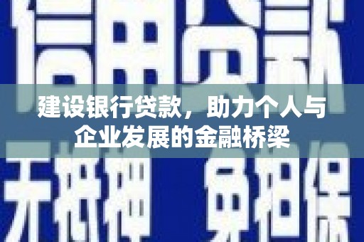 大武建设银行贷款，助力个人与企业发展的金融桥梁