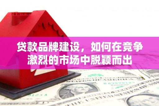 大武贷款品牌建设，如何在竞争激烈的市场中脱颖而出