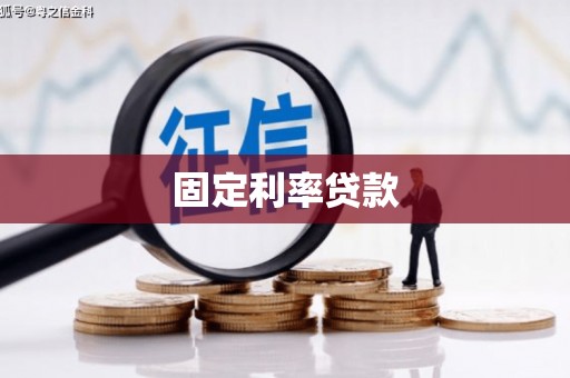 大武固定利率贷款