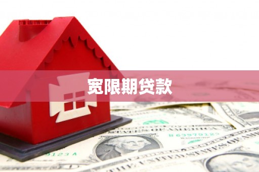 大武宽限期贷款